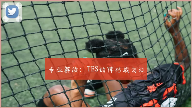 专业解读：TES的阵地战打法