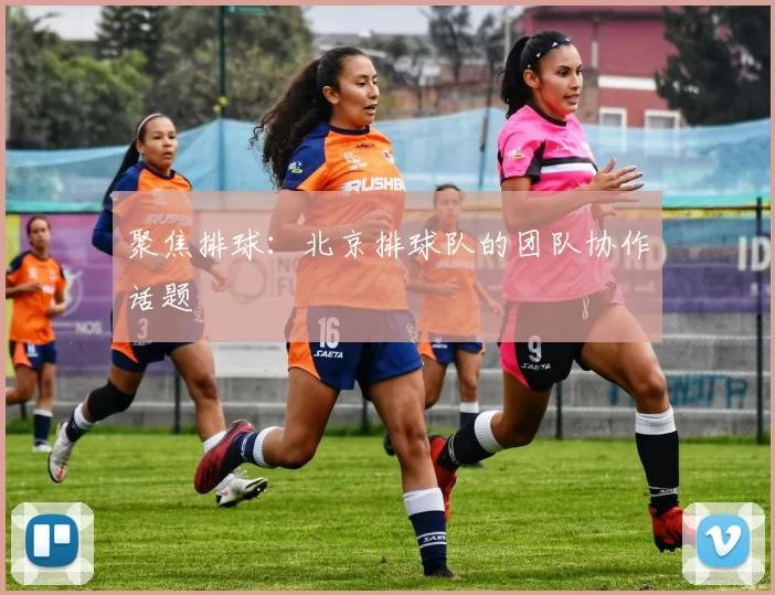 聚焦排球：北京排球队的团队协作话题